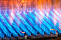 Honeystreet gas fired boilers